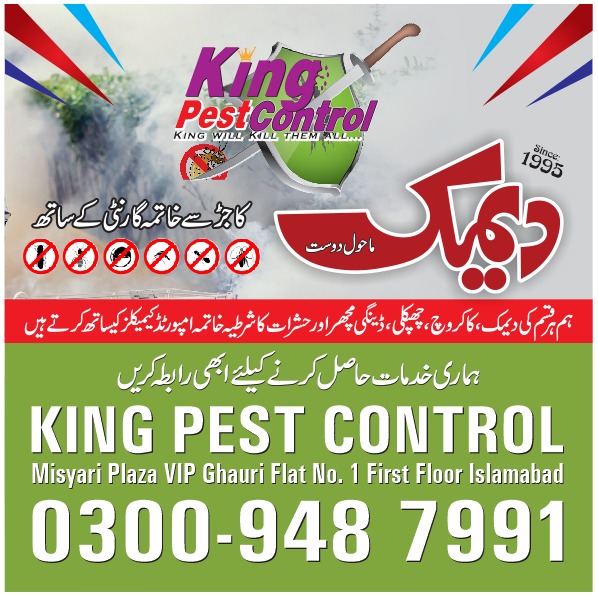 King Pest Control | Termite Treatment Services | Termite Control Lahore | Pest Control in Lahore in Lahore, Punjab