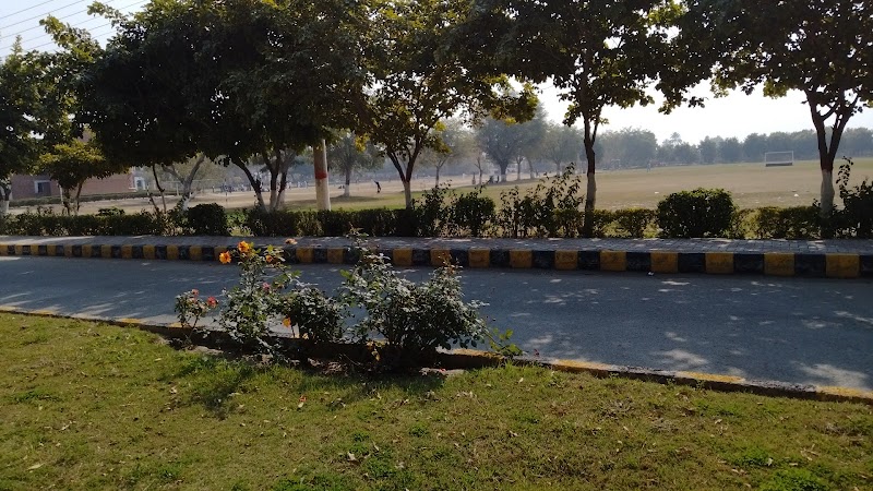 Punjab Danish Schools, Dera Ghazi Khan in Dera Ghazi Khan, Punjab