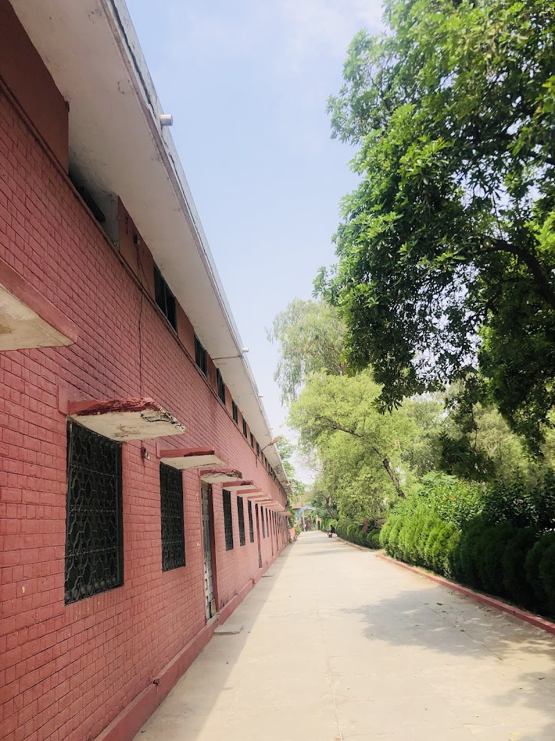 Govt Postgraduate College Hafizabad in Hafizabad, Punjab