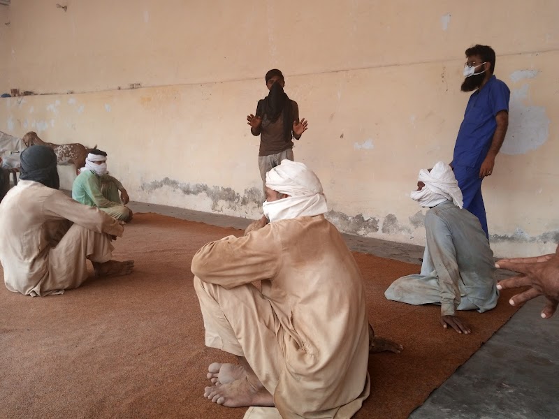 CALLVET ANIMALS & BIRDS HOSPITAL (CEODrAbdulWaheedFatim) in Lahore, Punjab