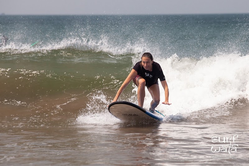 Surf Wala in Arambol, GA