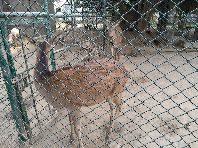 Safari Villas Park in Lahore, Punjab