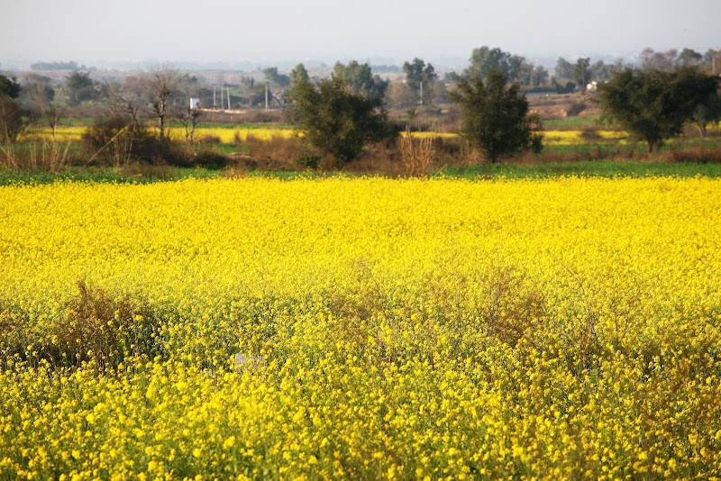 District Agricultural Department in Attock, Punjab
