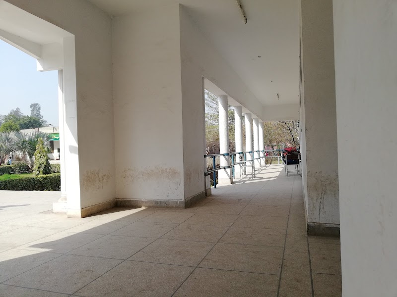 Govt Graduate College Adhiwal Jhang in Jhang, Punjab