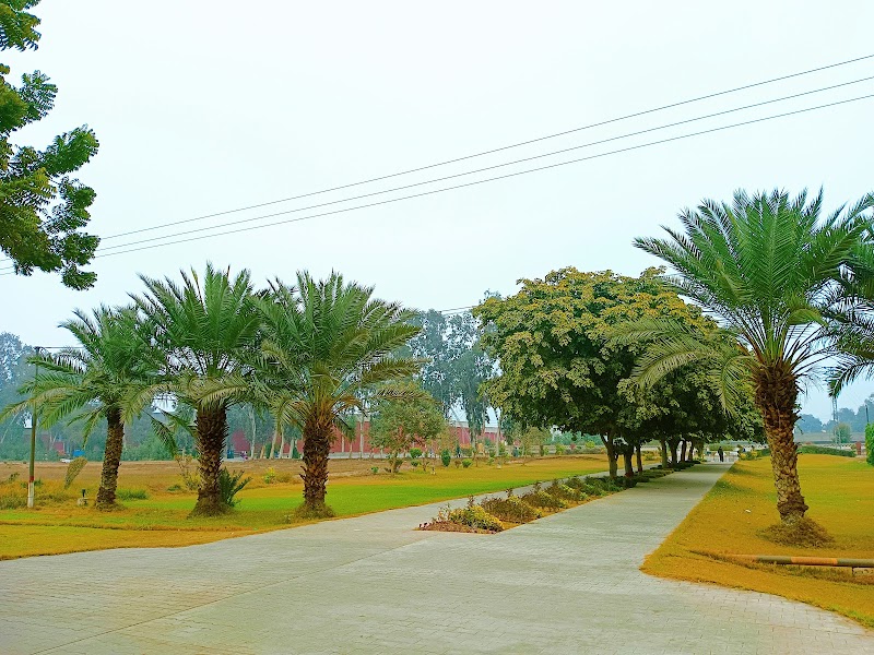 DHQ Hospital Layyah in Layyah, Punjab