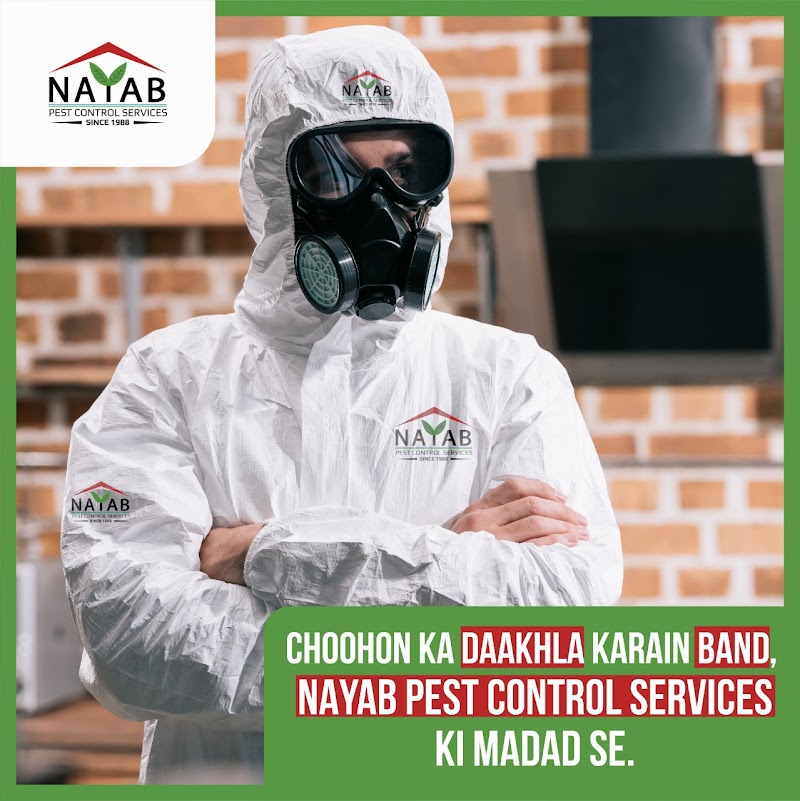 Nayab Pest Control Services in Lahore, Punjab