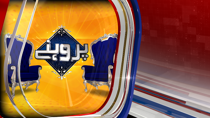 PNN in Lahore, Punjab