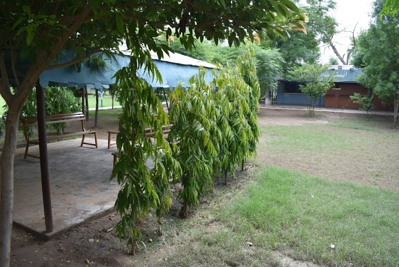 PAF College Sargodha in Sargodha, Punjab