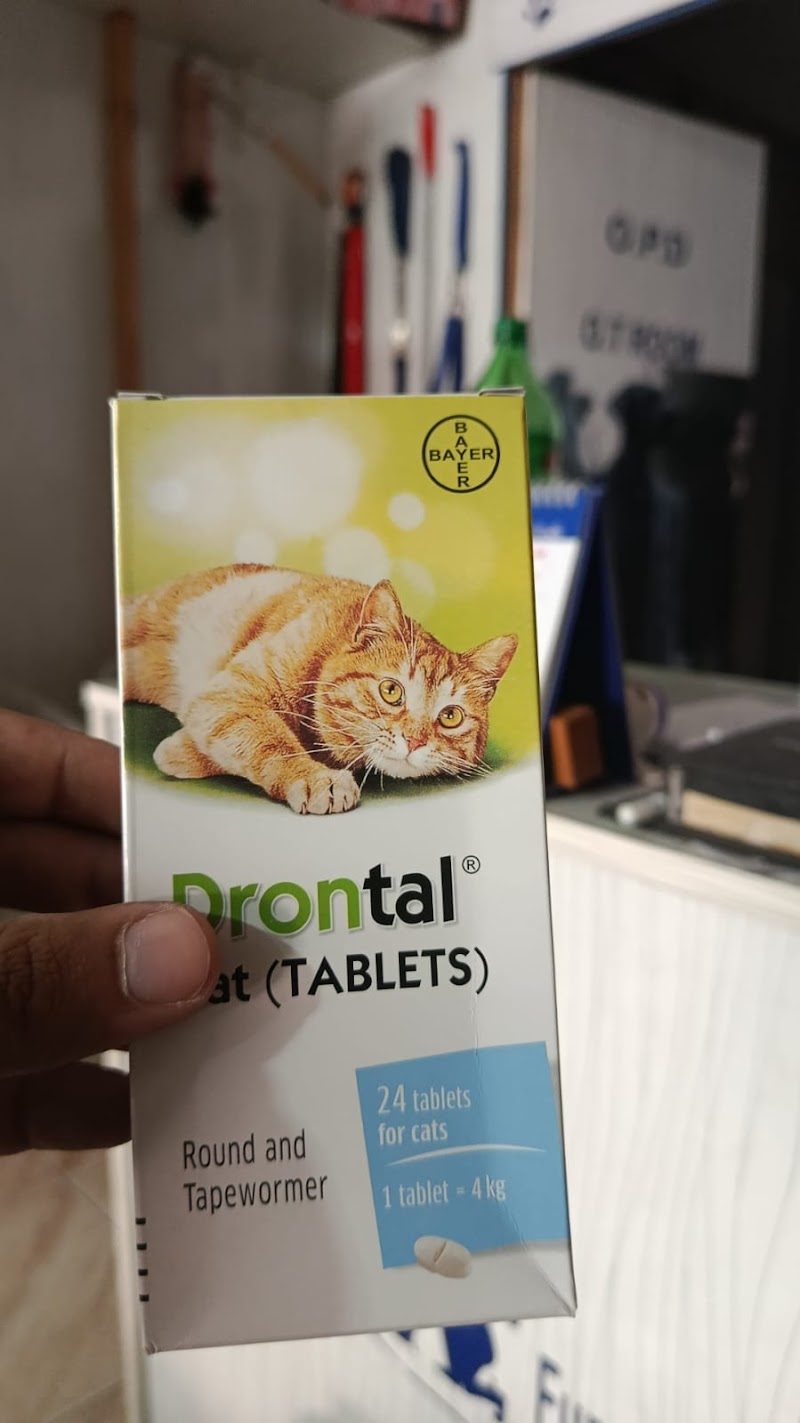 Faisal Veterinary Clinic Mianwali in Mianwali, Punjab