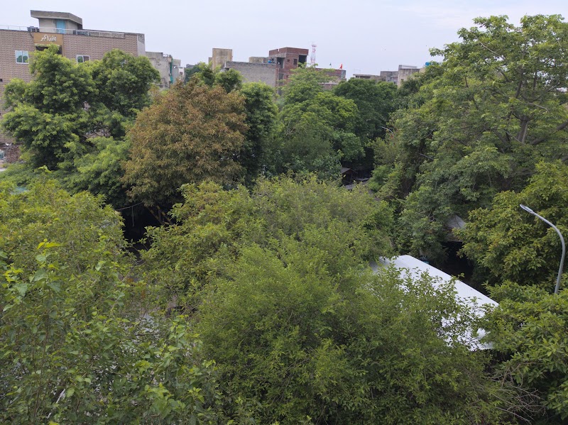 Sessions Court Lahore in لاہور, پنجاب