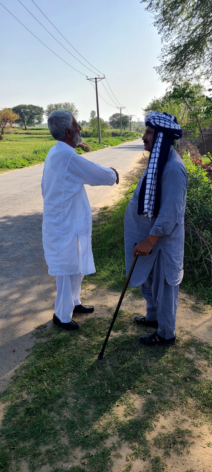Bharthanwala in Cannal View, Sialkot