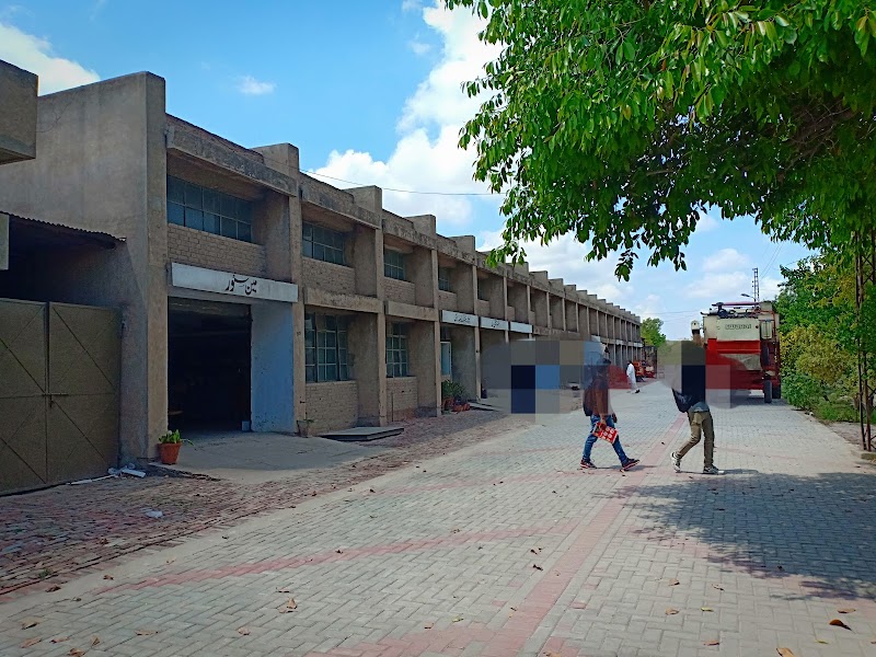 Agricultural Mechanization Research Institute AMRI Multan in Multan, Punjab