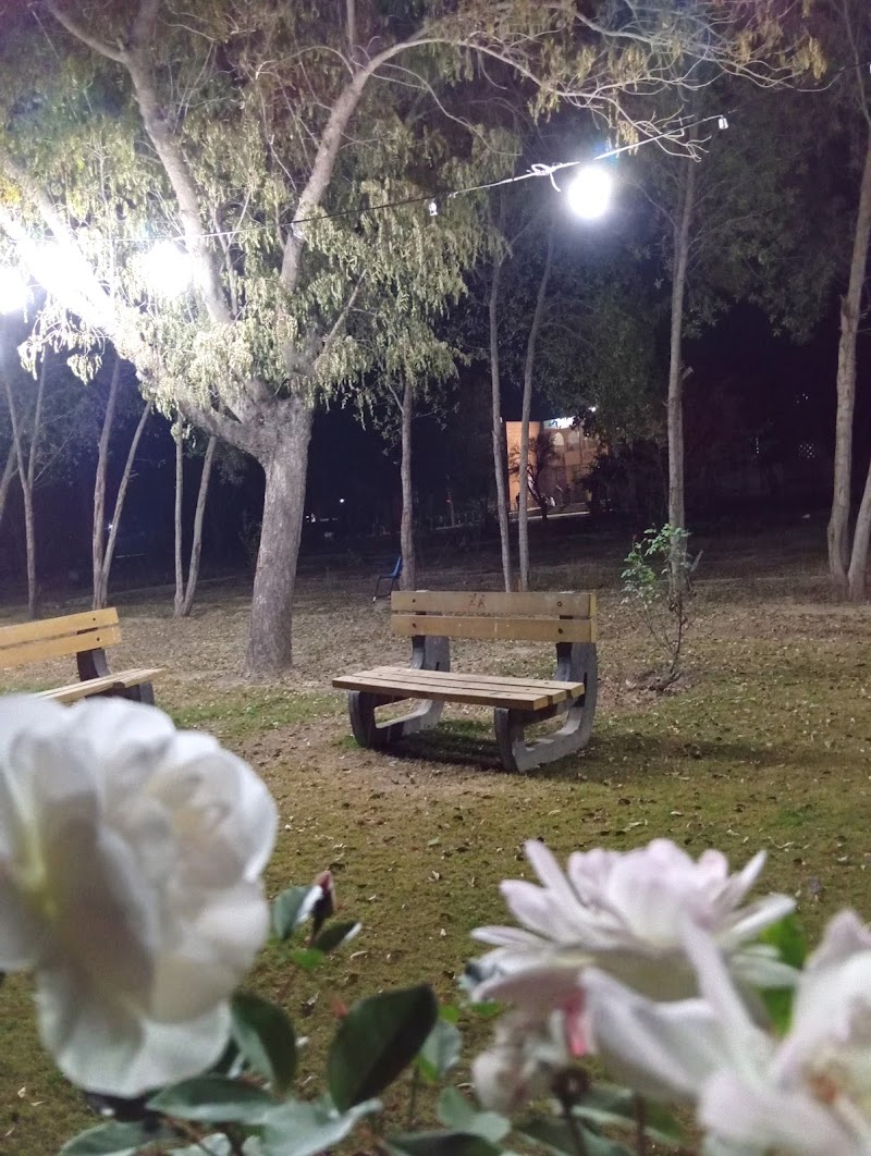 University of Education, Lahore, Vehari Campus in Vehari, Punjab