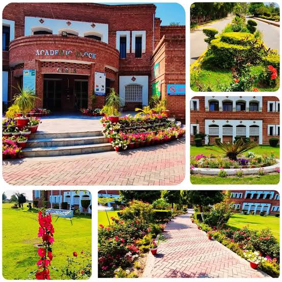 Punjab Danish Schools, Dera Ghazi Khan in Dera Ghazi Khan, Punjab