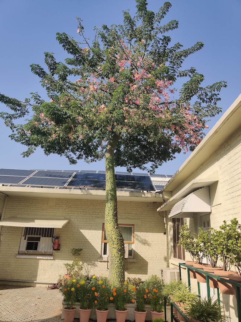 National Cleaner Production Center in Rawalpindi, Punjab
