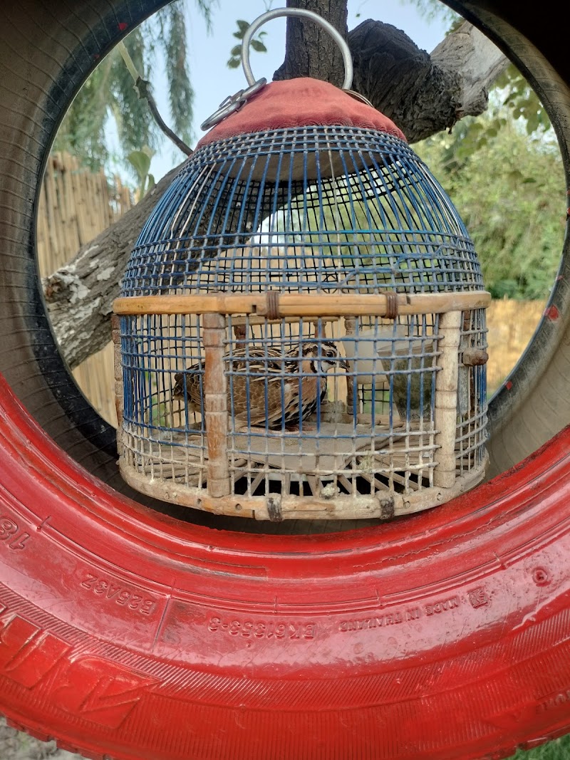 TEA VALLEY ☕ in Khanewal, Punjab