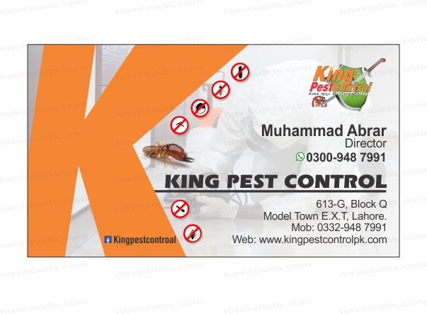 King Pest Control | Termite Treatment Services | Termite Control Lahore | Pest Control in Lahore in Lahore, Punjab