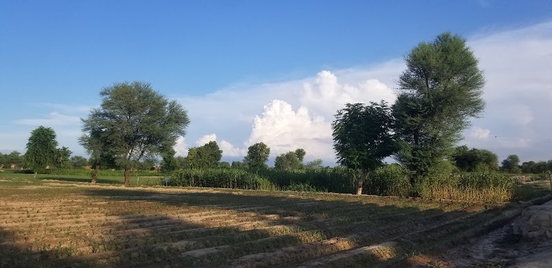 District Lodhran in لودهراں, پنجاب