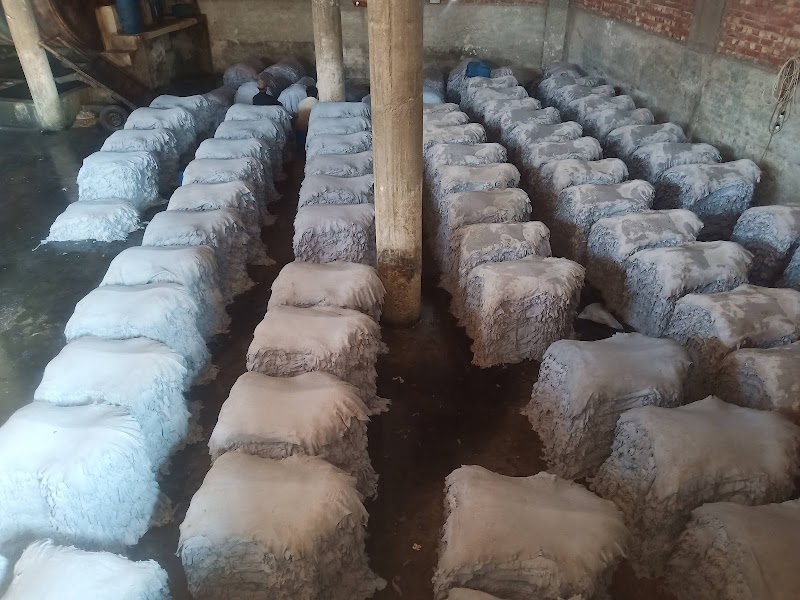 Akram Tannery in Kasur, Punjab