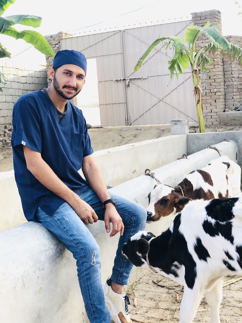 Vterinary health Care hospital in Gujrat, Punjab