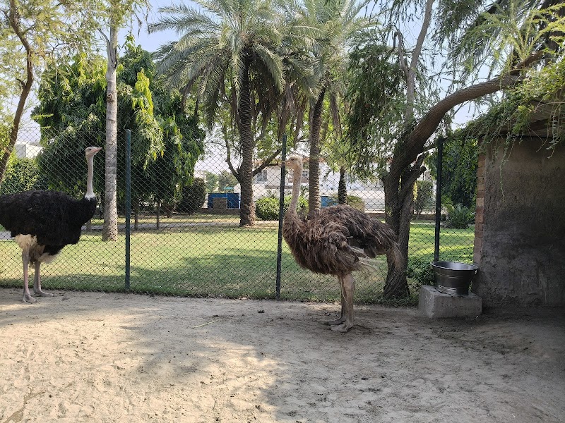 Safari Villas Park in Lahore, Punjab