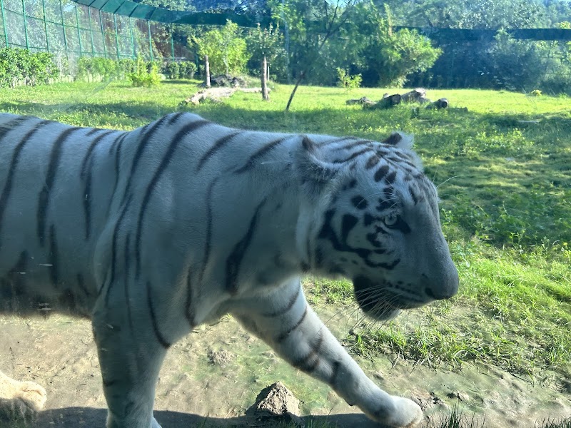 Sardar Patel Zoological Park, Ektanagar in Ektanagar, GJ