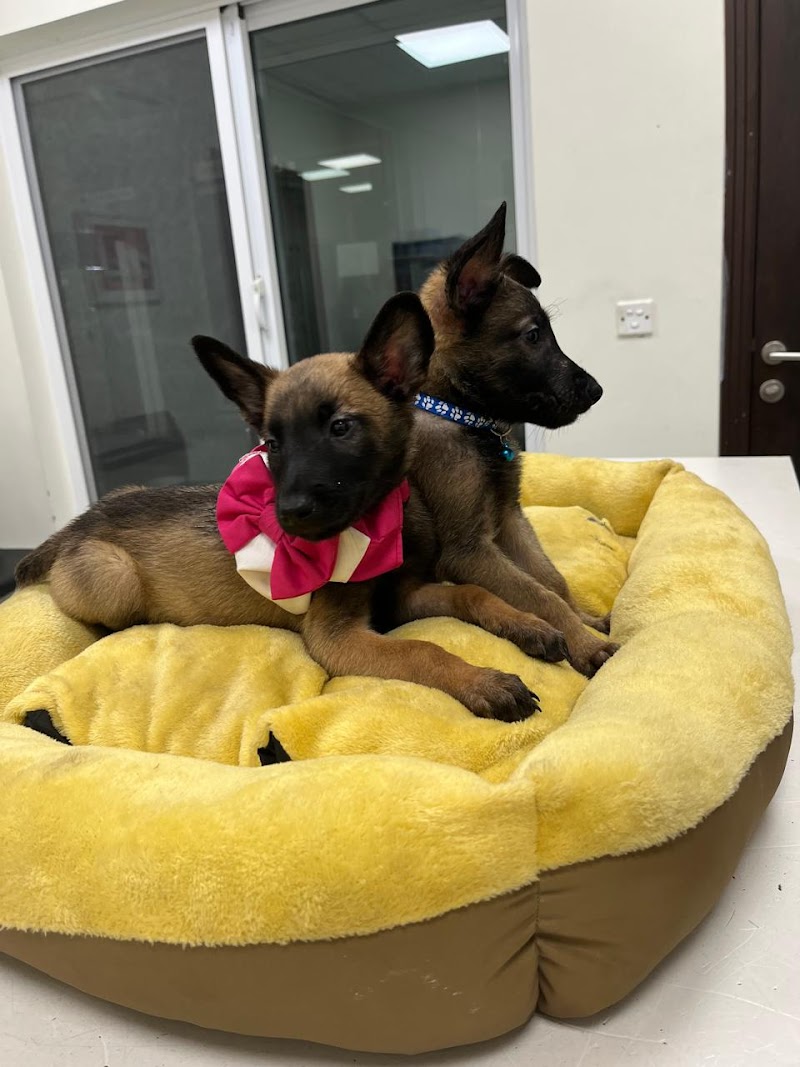 Round Lake Animal Hospital in Lahore, Punjab