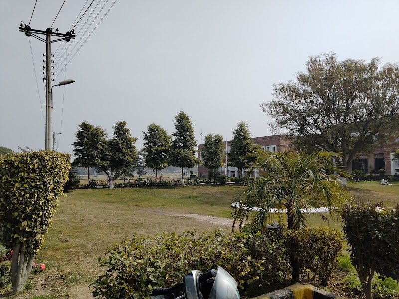Punjab Danish Schools, Dera Ghazi Khan in Dera Ghazi Khan, Punjab