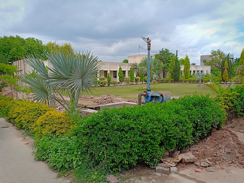 Agricultural Mechanization Research Institute AMRI Multan in Multan, Punjab