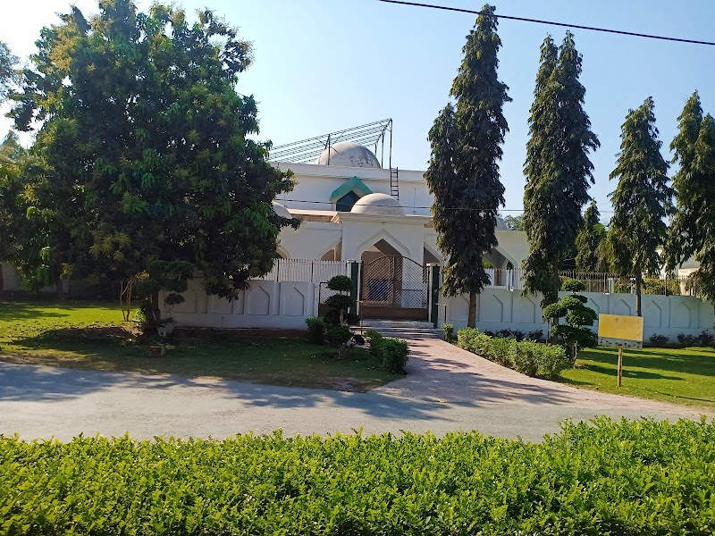 Model Cooperative Housing Society in Okara, Punjab