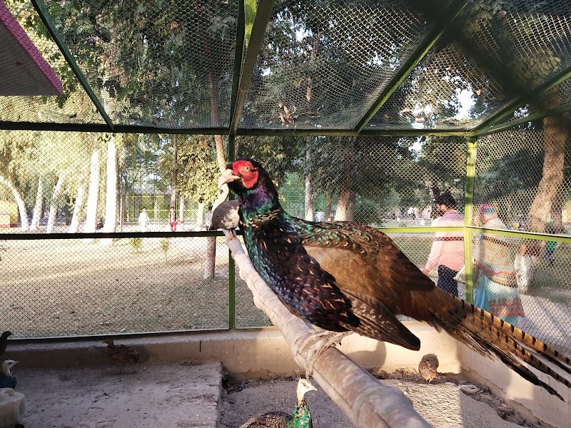Zoo, Vehari in Vehari, Punjab