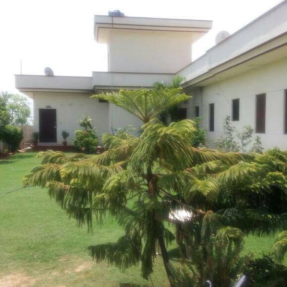 Nasha Mukti Kendra In Punjab - New Generation Care Foundation in Patiala, PB