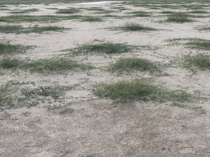 Employees Cricket Club in Layyah, Punjab