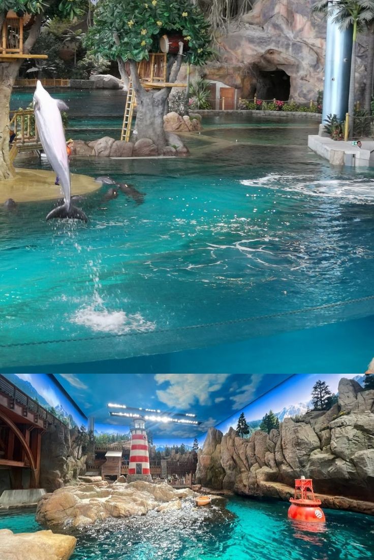 Sea World ( Aquarium & Fish Shop ) in Sialkot, Punjab