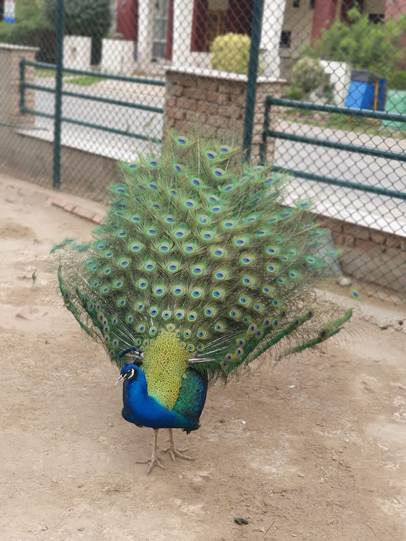 Safari Villas Park in Lahore, Punjab