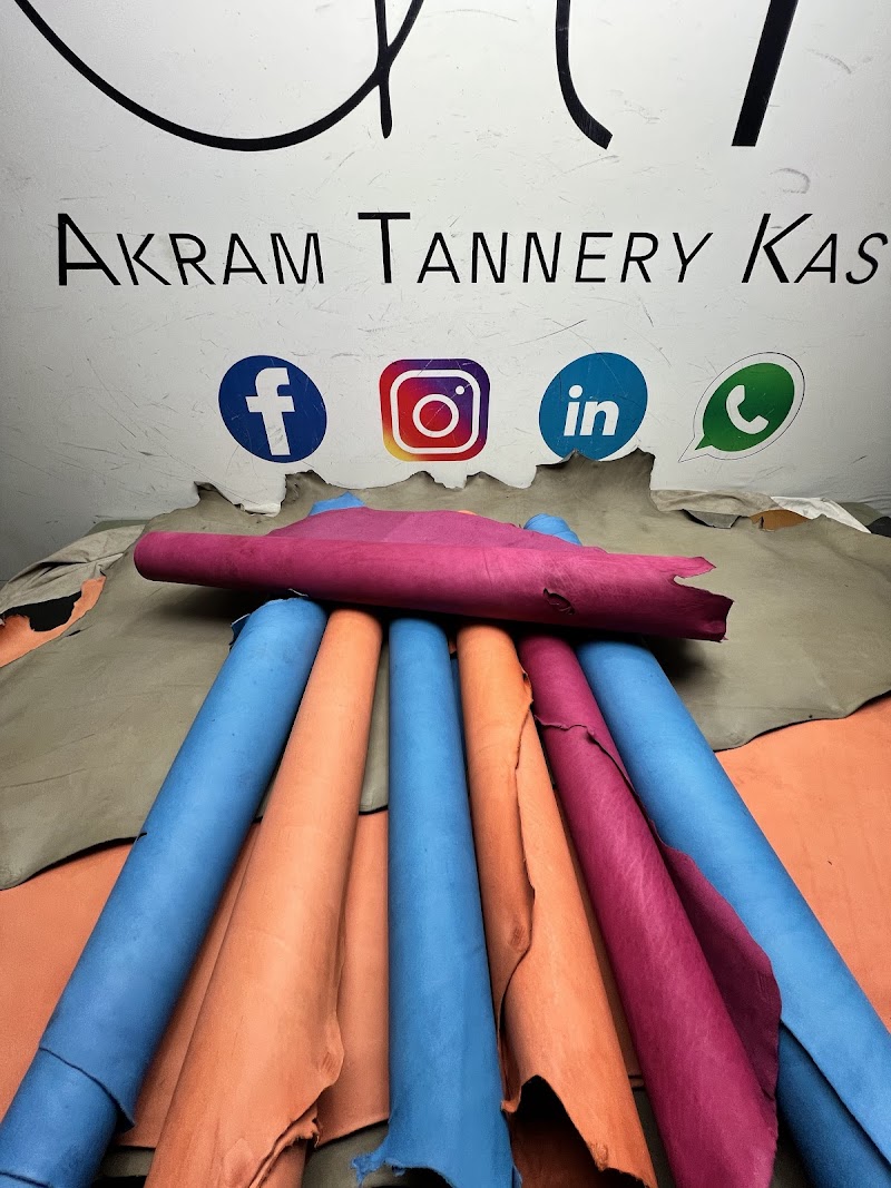 Akram Tannery in Kasur, Punjab