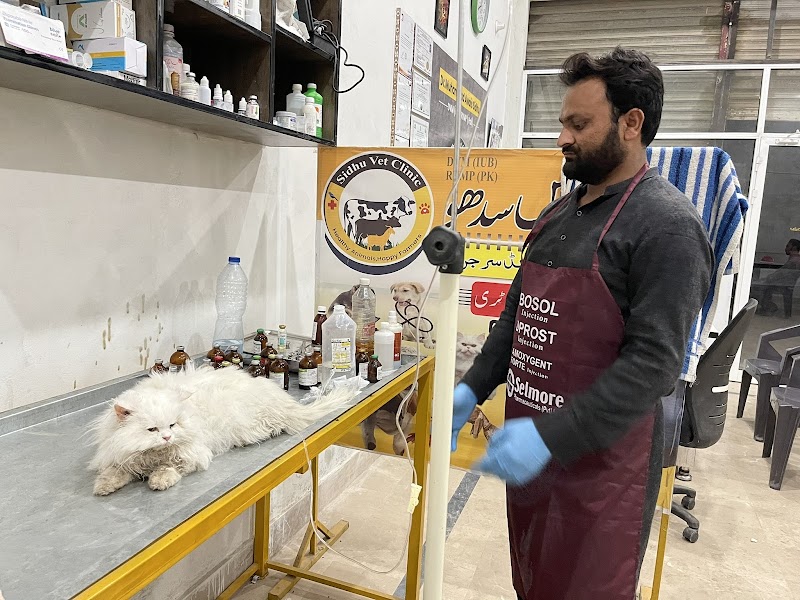 Sidhu Vet Clinic & Pet Shop Bahawalnagar | Animal Ultrasound Services | Animal Hospital | Cat & Dog in Bahawalnagar, Punjab