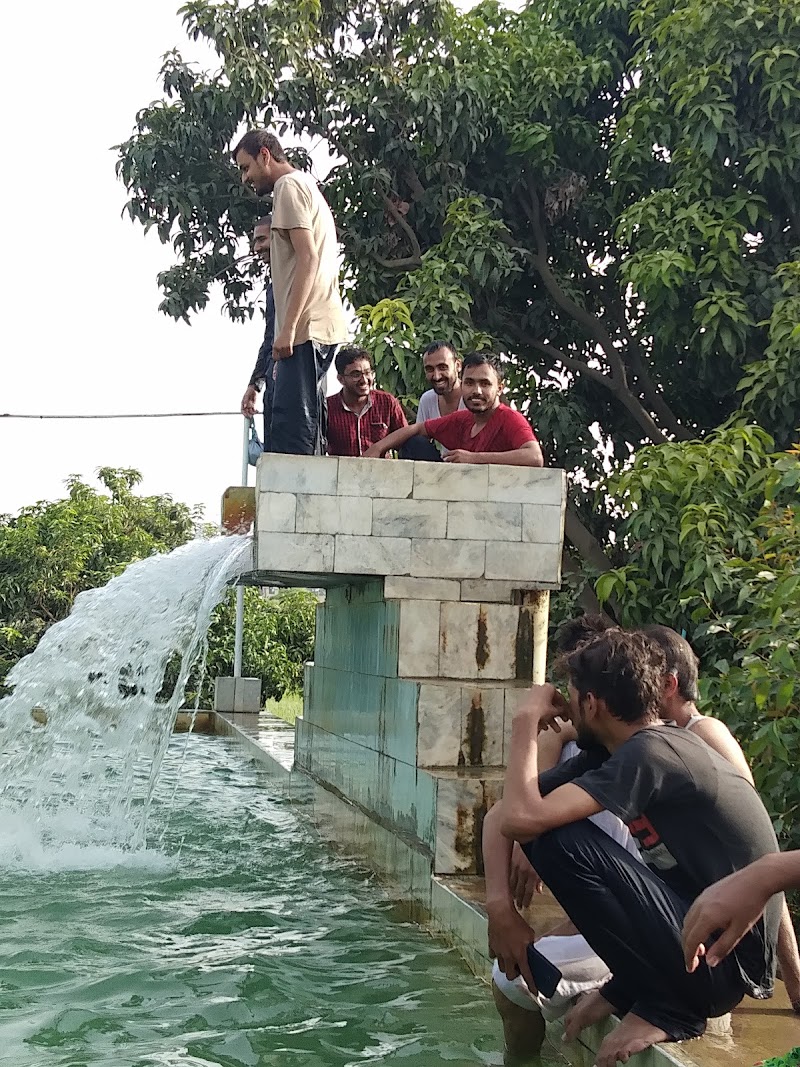 Rana Sher Khan Swimming Pool in ملتان, پنجاب