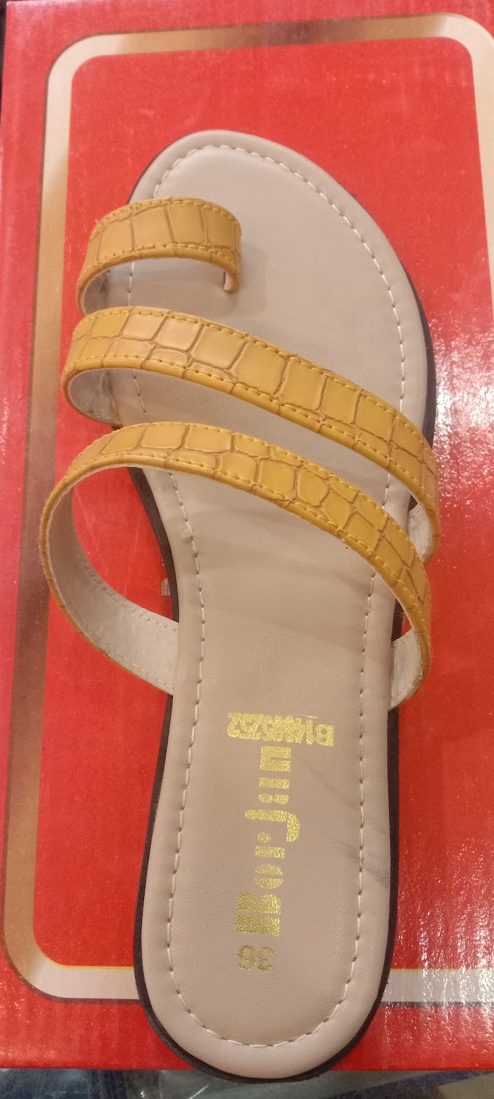 Borjan in Sadiqabad, Punjab