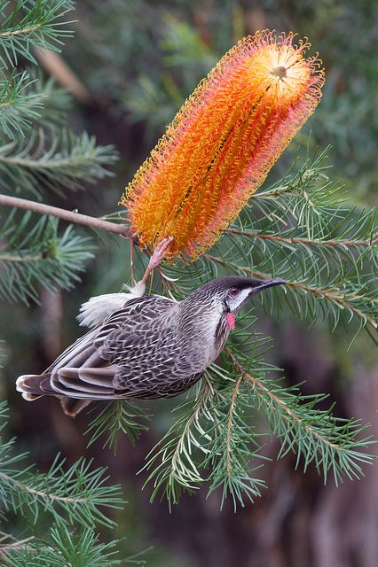 Canal Motors Faisalabad in Faisalabad, Punjab