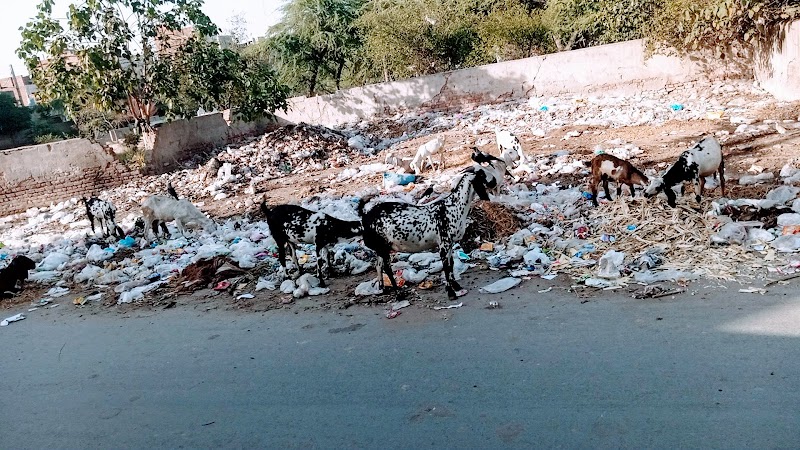 Faisalabad Waste Management Company in Faisalabad, Punjab