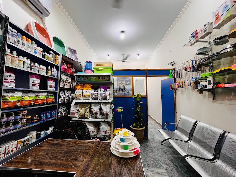 H&H Vets Services Pvt. Ltd. (Johar Town Branch) in Lahore, Punjab