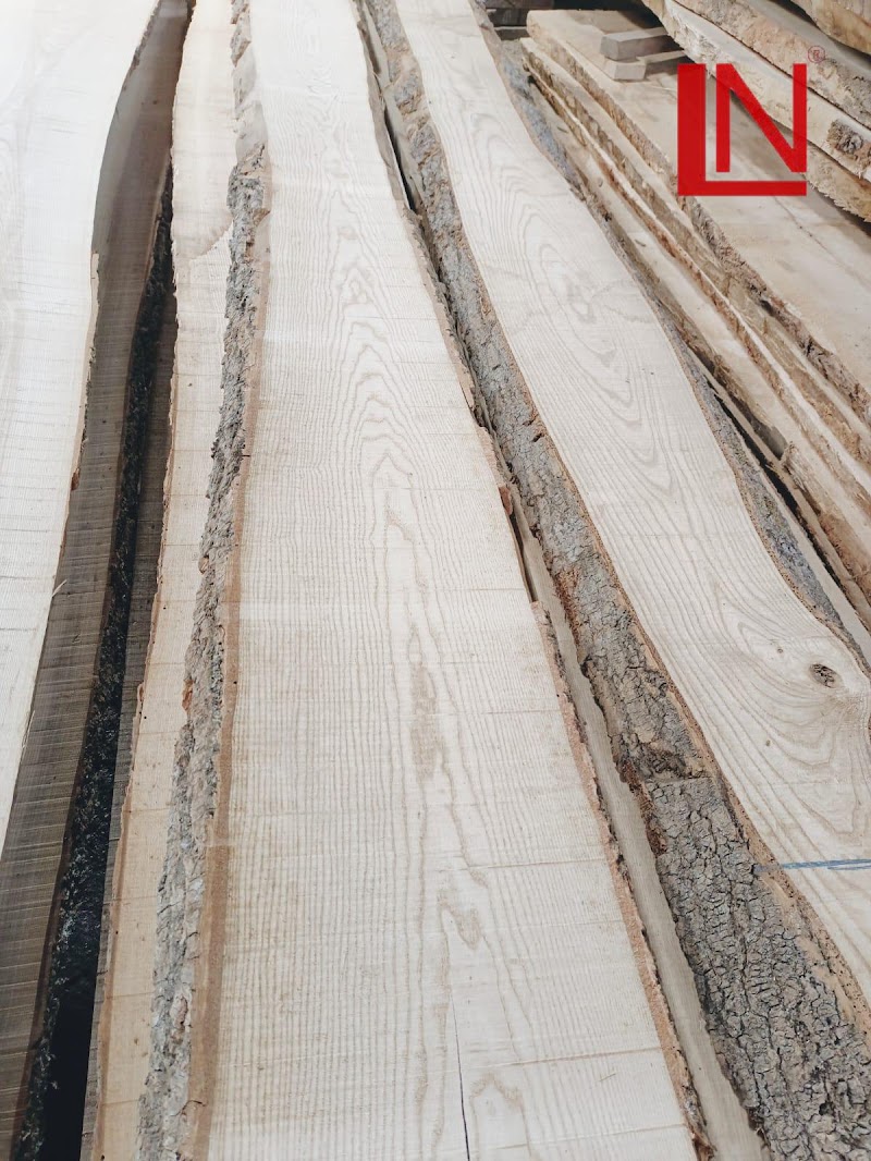 LN Timbers || Best Quality Wood And Plywood in Surat, GJ