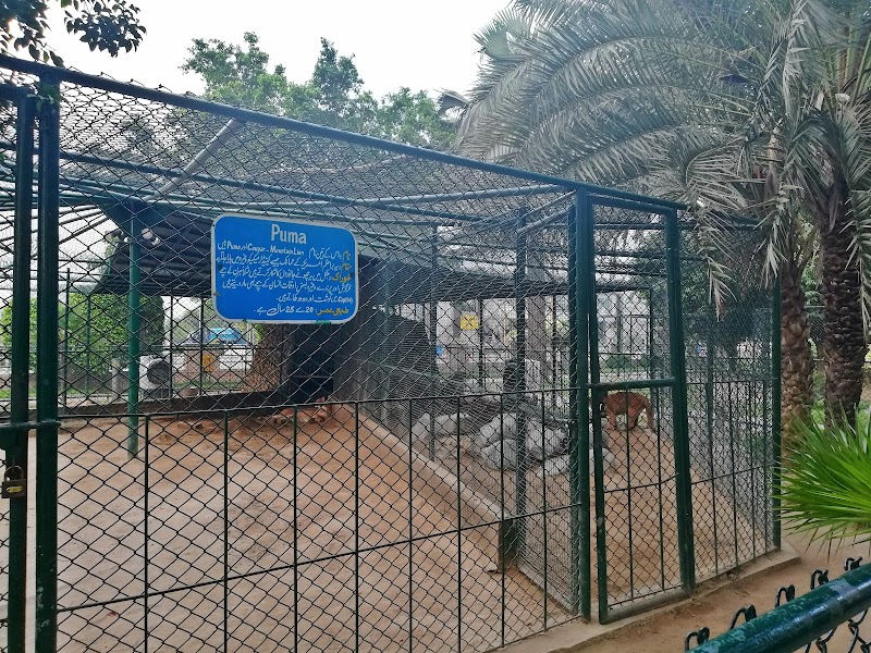 Safari zoo Bahria town in Lahore, Punjab