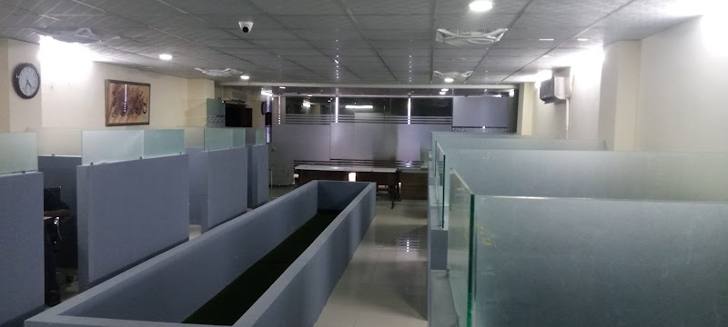 The Case Lawyer | Legal Services for Overseas Pakistanis | Child Custody & Adoption | Property Disputes | Best Family Lawyer in Islamabad, Islamabad Capital Territory