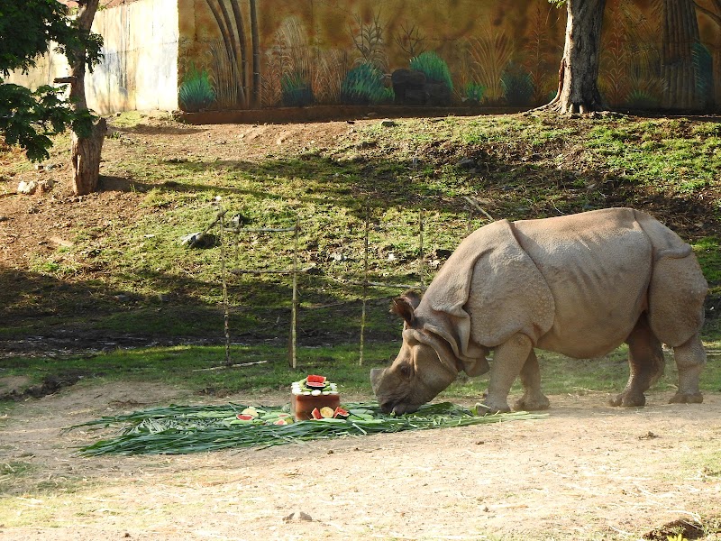 Sardar Patel Zoological Park, Ektanagar in Ektanagar, GJ