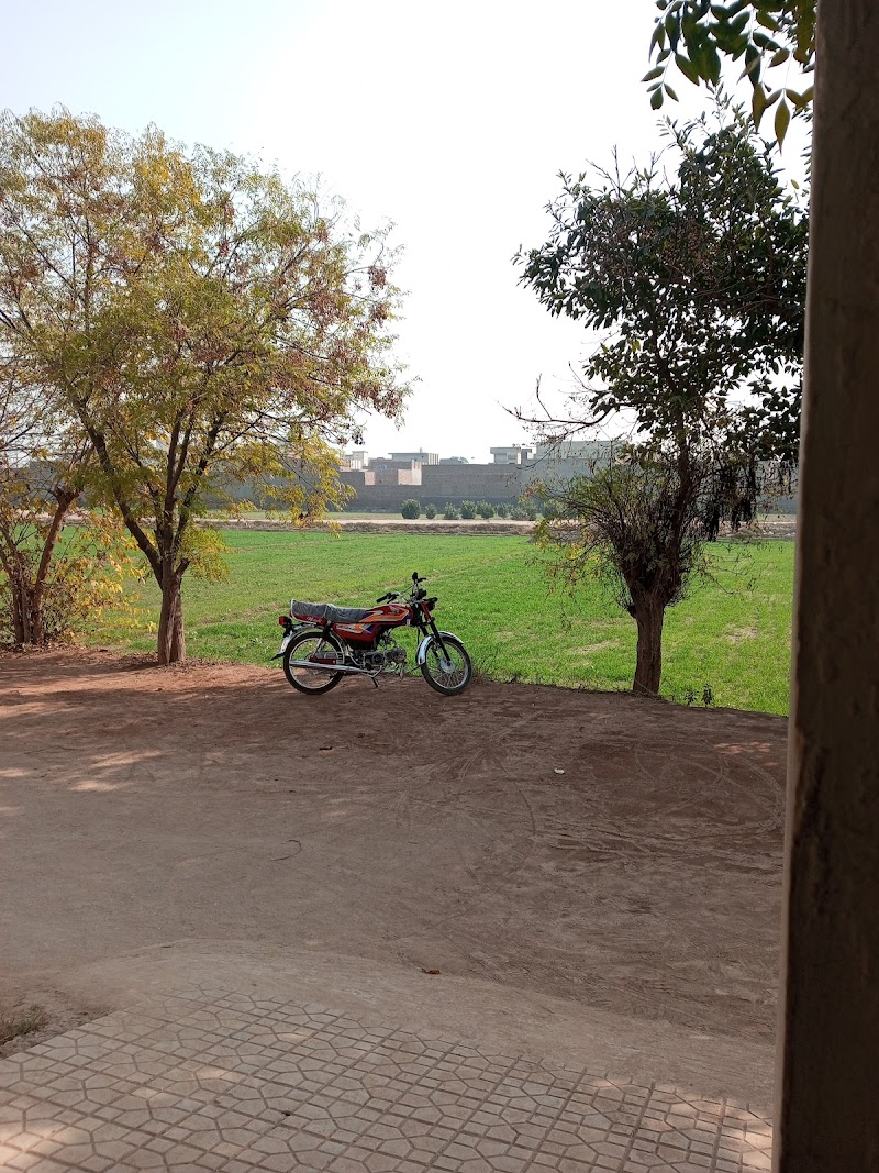 Punjab College Toba Tek Singh in Toba Tek Singh, Punjab