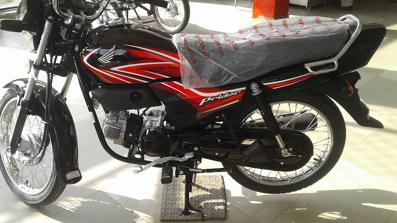 Farooq Traders in Burewala, Punjab