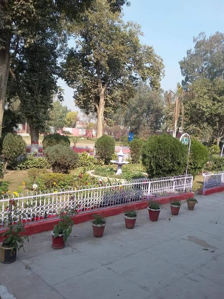 Govt Graduate College for Women Toba Tek Singh in Toba Tek Singh, Punjab