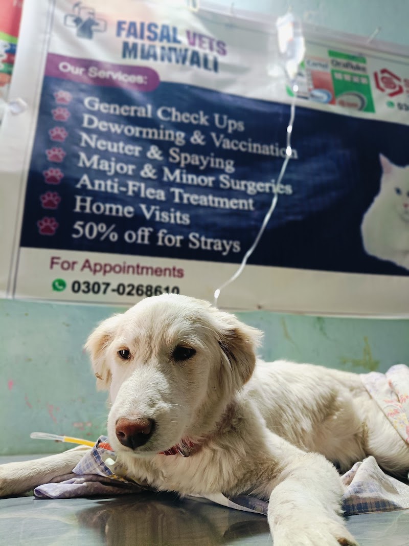 Faisal Veterinary Clinic Mianwali in Mianwali, Punjab